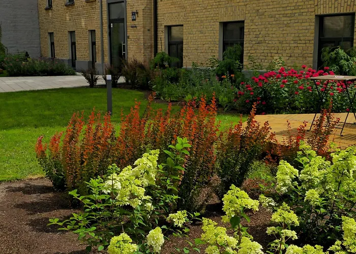 Moderns Un Kluss Dzivoklis 41 M2 Riga